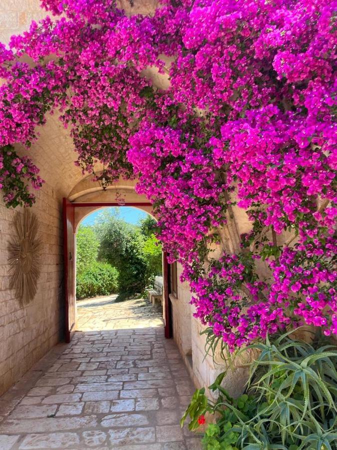 Masseria Morrone Ostuni Kültér fotó