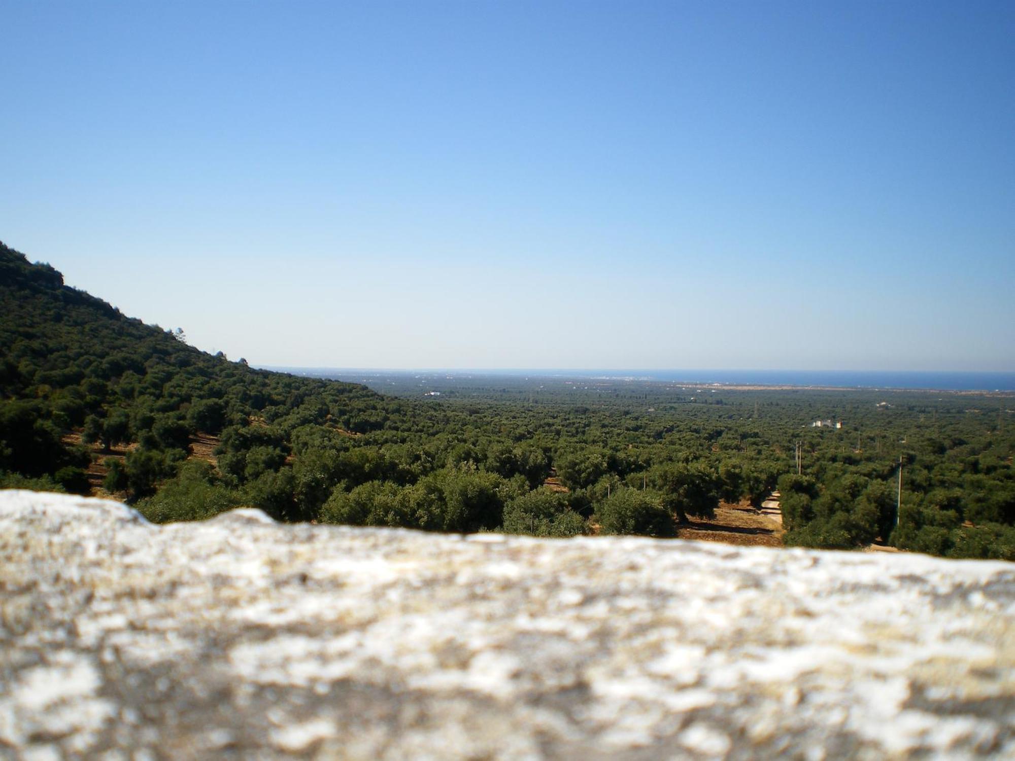 Masseria Morrone Ostuni Kültér fotó
