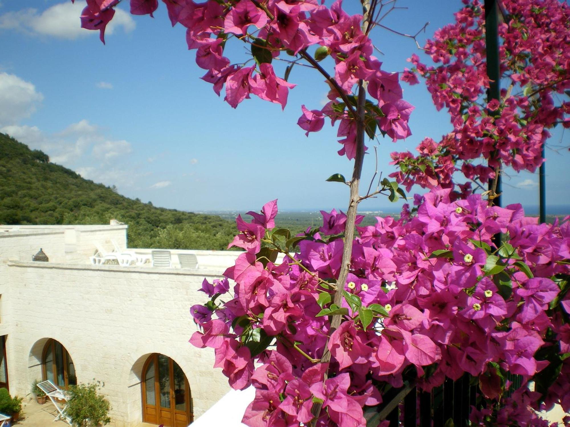 Masseria Morrone Ostuni Kültér fotó